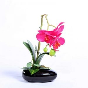 Home Decor Items in Kochi, Kerala